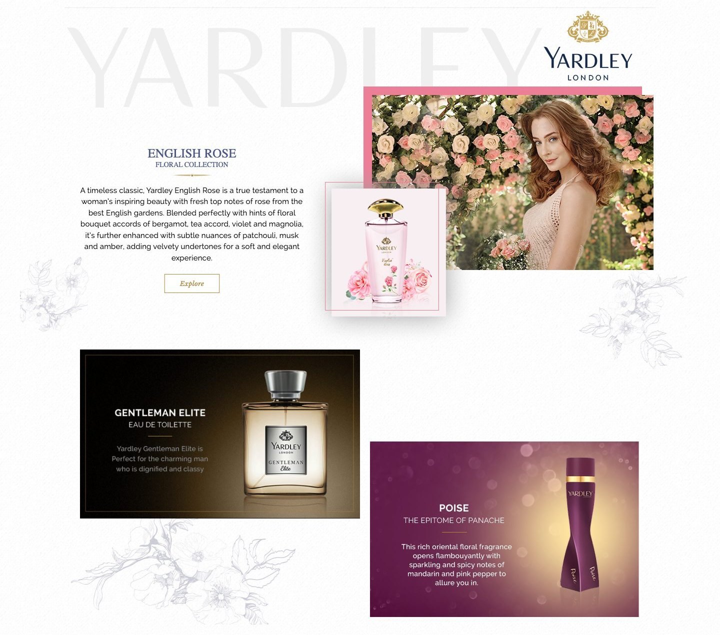 Homepage detail: English Rose feature, Gentleman Elite and Poise cards